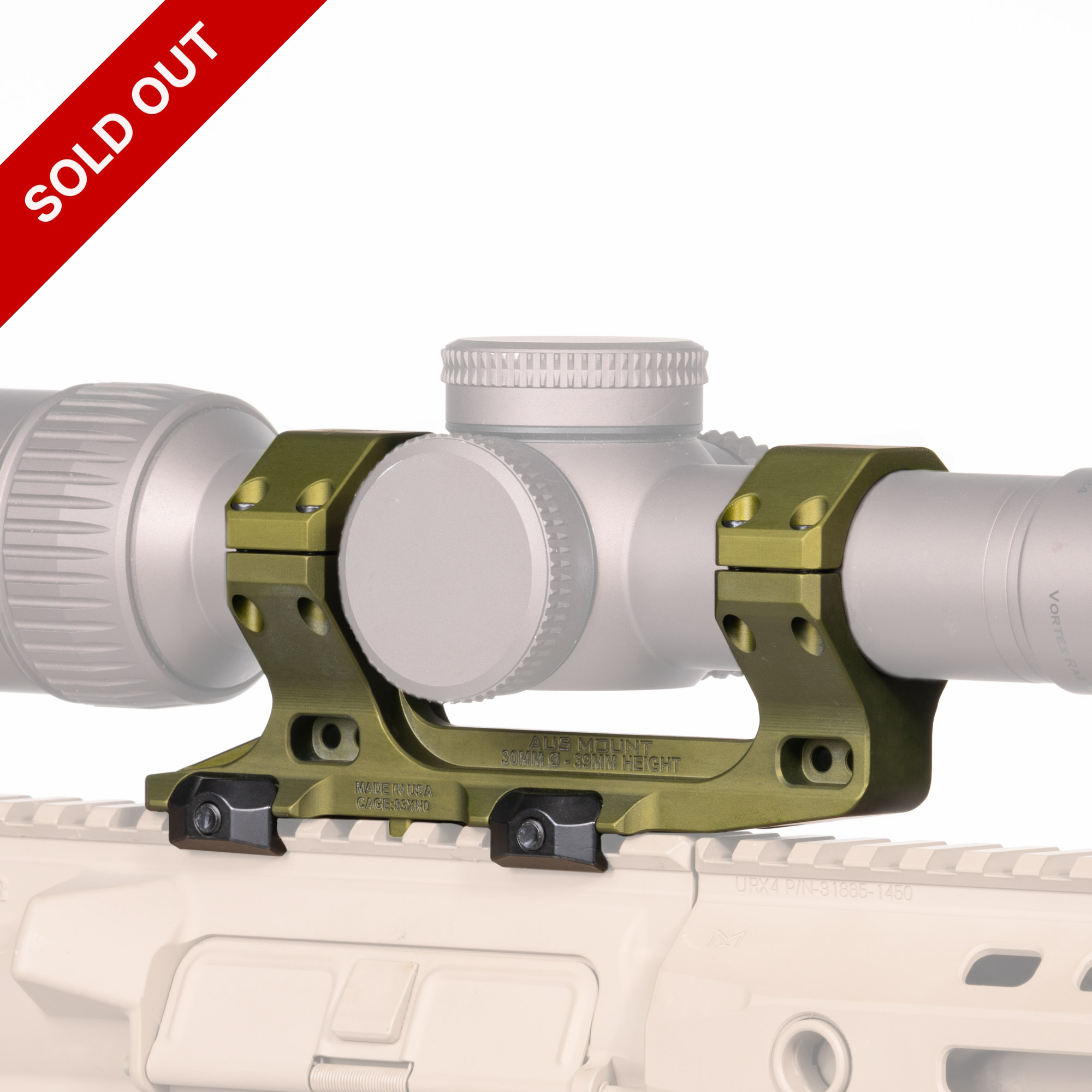 標本 Mexico Homoptera 30mm 40mm only one AUS™ MOUNT - 30MM DIAMETER - 39MM HEIGHT - OD GREEN – LIMITED